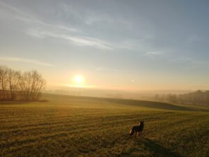 D - P - Pangrácová Vendula - Východ slunce