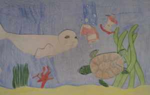 Máme rádi zvířata